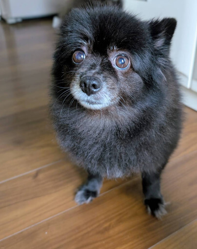 こっちゃん日記